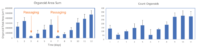 Presentation of organoid count and organoid total area (area sum) over time. Averages and STDEV were calculated from 24 wells of the plate