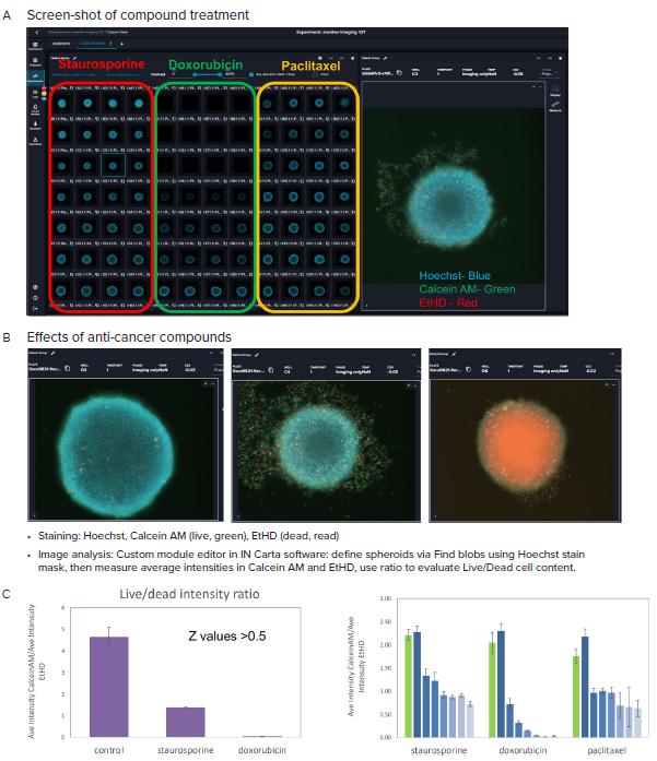 A, B Representative images (10X) of organoid culture taken after treatment with indicated compounds and staining. C. Graphical presentation of spheroid analysis: Ratios of the Ave Intensities of spheroids for Calcein AM and EtHD, maximum concentrations, and across concentration range. Averages and STDEV calculated from quadruplicates