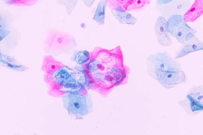 Precision spectroscopy: Revolutionizing tissue identification in medical diagnostics