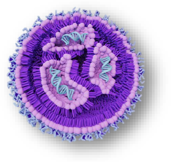 Comprehensive assessment of LNP size, concentration, and zeta potential