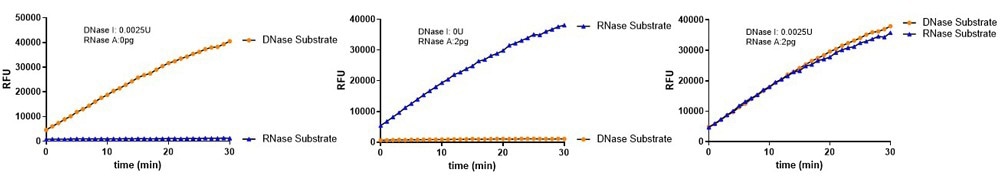 DNase Activity Assay Kit (Fluorescence) (Cat. No. ASE-A002) and RNase Activity Assay Kit (Fluorescence) (Cat. No. ASE-A001) were used to detect nuclease residues in the same sample. No significant cross-reactivity or interference was observed