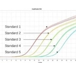 How can we ensure the safety and efficacy of biopharmaceuticals?