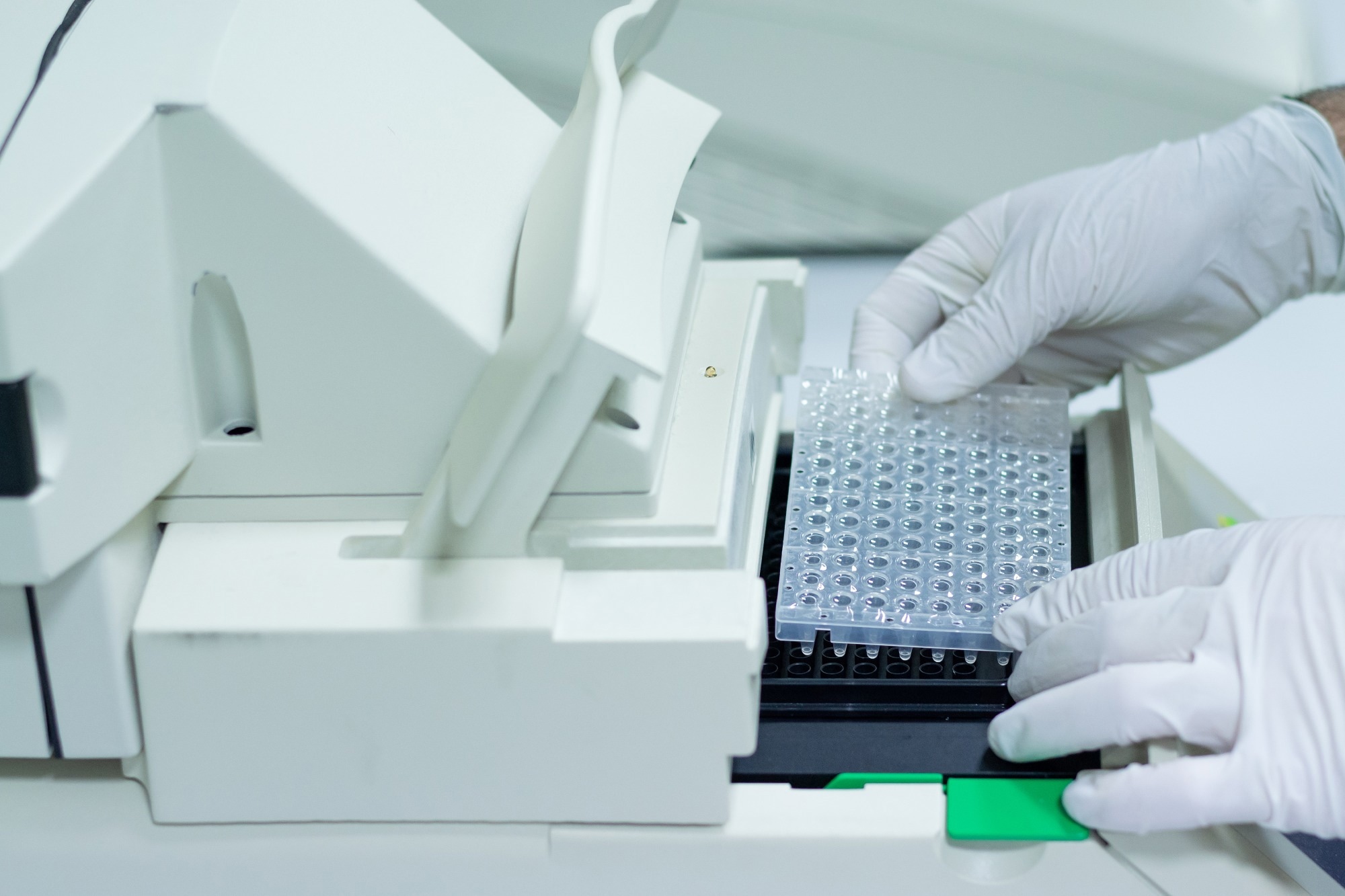 qPCR assay