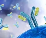 How to determine the molecular weight of a monoclonal antibody