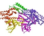 Polymer characterization for pharmaceutical applications