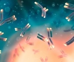 Effects of thermal stress on a monoclonal antibody