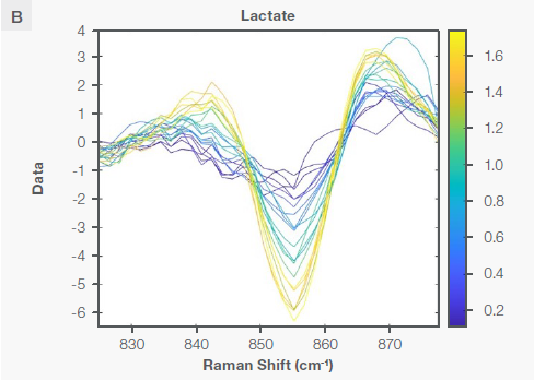 The Sav-Gol filter 2nd derivative plot of the Raman spectra of the bioreactor run for cultivated meat production, highlighting the characteristic Raman peaks for (A) glucose and (B) lactate as explained in the text.