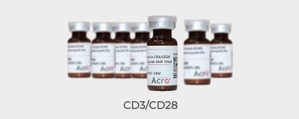 Cell culture grade magnetic beads