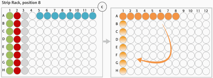 (C) Strip rack layout (position 8, deck layout day 1): After digestion of gDNA (step 1) Enzyme Strips (red and green), RE-Mastermix Strip (grey) and DNA template Strip (blue) are discarded and replaced by Hybridization Strip (orange). For hybridization DNA samples were pooled in Hybridization Strip (orange). The Strip was rotated manually (light orange) before adding the HaloPlex ION Barcode Primer Cassette