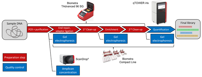 Workflow procedure for amplicon sequencing library preparation and quality control