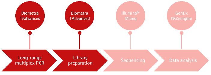Overview of the NGS-based HLA typing workflow