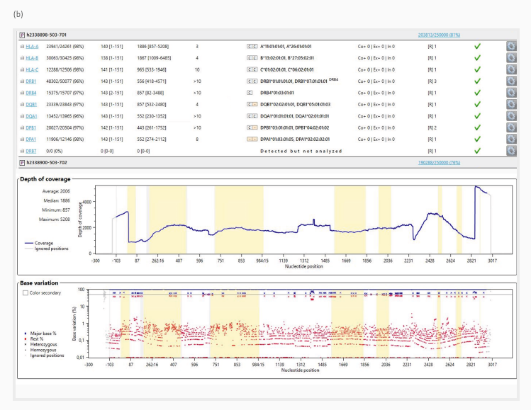 Two exemplary results (from preparations (a) and (b)) of HLA gene sequencing analysis using the GenDx NGSengine software. The top of both panels summarizes the analysis metrices for all sequenced genes from the two samples. The mappability for each gene to the reference sequences is displayed in the second table column. The middle graph ‘Depth of coverage’ illustrates the number of times that a specific base was read during the sequencing process across all nucleotide positions. The bottom graph ‘Base variation’ shows the frequency of variation in the bases at each position in the HLA gene and the determination between homozygous (dots) and heterozygous (cross) alleles. The horizontal line depicts 50 % base variation. The shaded yellow areas highlight the exon regions across the whole gene sequence. In this example, base variation below 10 % can be classified as signal noise (red dots), while higher base variation represents heterozygous bases (red and blue crosses) or homozygous positions on the top (blue dots).