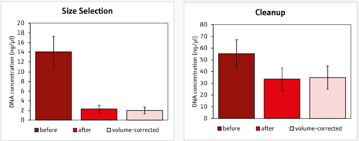 DNA concentrations of sequencing libraries before and after the A) size selection and B) clean up. Volume corrected concentrations were based on different elution volumes after the size selection and clean up