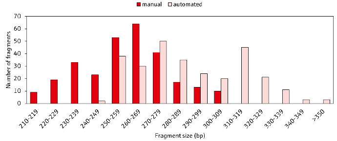 Comparison of the average sequence fragment sizes after manual and automatic size selection with CyBio FeliX. The average fragment sizes of six HLA loci from 48 samples are displayed after trimming of sequencing adapters and barcodes using the NGSengine software (GenDx). Fragment sizes in the automated workflow (light red) were generally larger compared to the manual process (dark red), which grants higher coverage to reference sequences and higher resolution for HLA typing