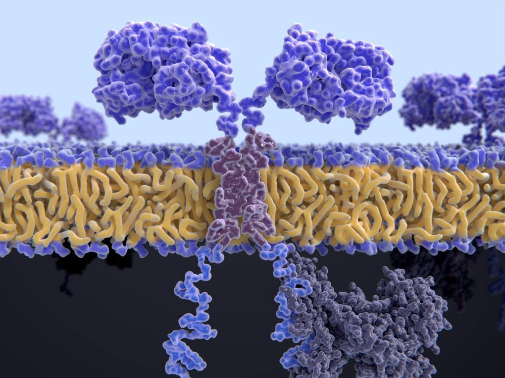 CAR-T cell therapy
