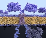 How can trial customization progress CAR T-cell therapy?