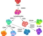 Advancing immune cell profiling technology