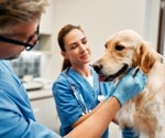 Top challenges and solutions in global regulatory CMC for animal health