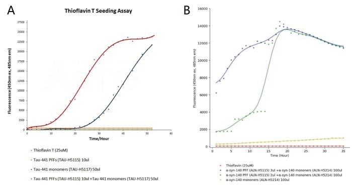 ThT seeding assay for tau and α-syn PFF. The emission curves show rising fluorescence over time, indicating aggregation when tau (TAU-H5117) and α-syn (ALN-H5214) monomers are added to tau PFFs (TAU-H5115) and α-syn PFFs (ALN-H5115), respectively