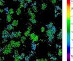 The role of CBF assays in advancing scientific research