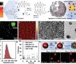 Ultrasound-driven transformation of doxorubicin for targeted cancer cell killing