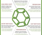 Understanding and stopping the spread of infectious diseases