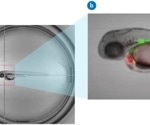 Boost high-content screening with supervised feedback microscopy