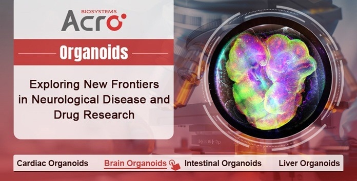 Brain organoids for advancing neurological research