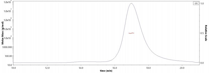 Human TL1A, His Tag, Monomer (Cat. No. TLA-H5246) has a purity of over 90% in its monomeric form, with a total molecular weight of around 25-35 kDa verified by SEC-MALS