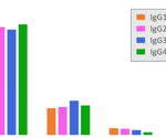 Structural characterization of lgC variants