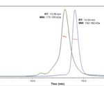 Identifying the structure of RSV pre- and post-fusion proteins