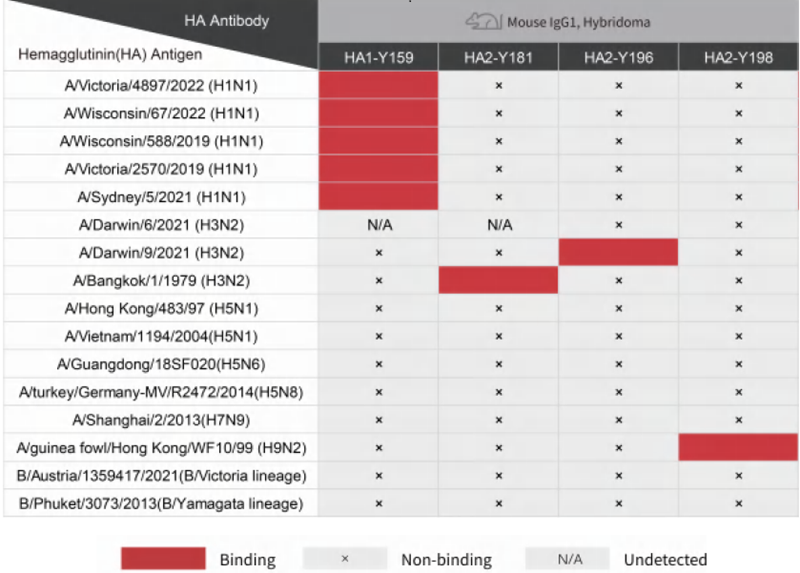 Cross-reactivity of HA antibodies against HA proteins of varying influenza strains by ELISA (partial display).