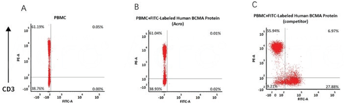 Non-specific binding to non-transduced PBMCs between PE-Labeled Human BCMA Protein of Acro and competitor. 5e5 of non-transduced PBMCs were stained with PE -Labeled Human BCMA Protein and anti-CD3 antibody, washed and then analyzed with FACS. FITC signal was used to evaluate the expression of CD3+ T cells in non-transduced PBMCs, and PE signal was used to evaluate the non-specific binding activity to non-transduced PBMCs