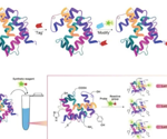 Sensitive CAR expression detection with flow cytometry