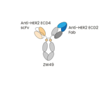 Expanding new trends and technologies in ADC therapeutics