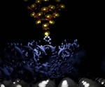 What can you do with a BioAFM instrument?