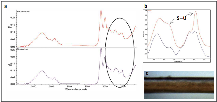 (a) Spectra of non-bleached (red) and bleached (purple) hair. (b) Expanded region showing