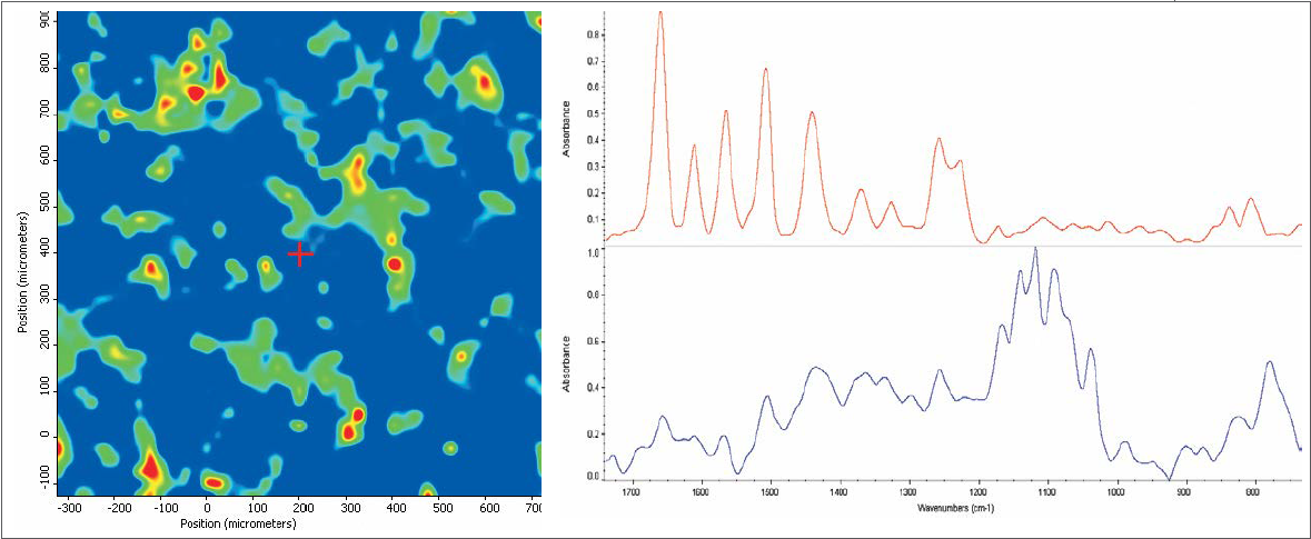 (Left) Chemical image of prescription drug. (Right) Red spectrum is the active ingredient and the blue spectrum is the excipient.