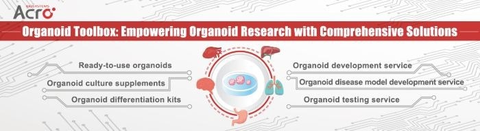 Liver organoids for advancing drug development