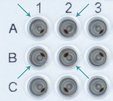 Beads collected in one spot by the MAG module