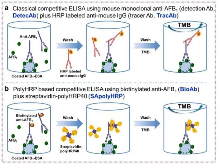 Performance Comparison of HRP and SA-HRP in Small Molecule Detection by ELISA