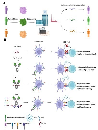 Overview of the principal workflow and advantages of the Adaptable Drug Affinity Conjugate (ADAC) technology