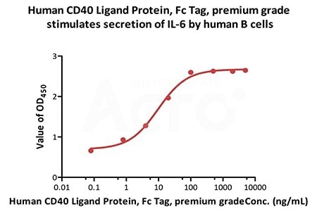 Human CD40 Ligand Protein, Fc Tag, premium grade (Cat. No. CDL-H5269) stimulates secretion of IL-6 by human B cells. The ED50 for this effect is 9.68-11.48 ng/mL in the presence of 5 ng/mL of Recombinant Human IL 4 (Routinely tested)