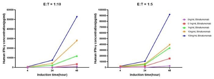 Elevation of IFN-γ under Different Stimulation Conditions