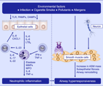 Breakthroughs in asthma therapy