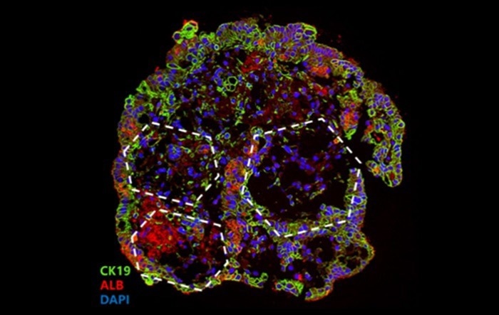 ACROBiosystems
