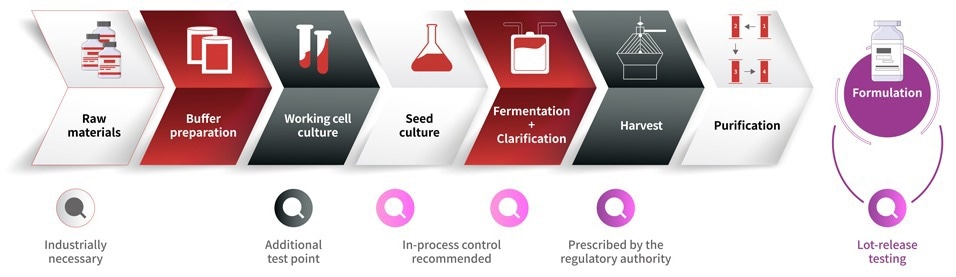 Monitoring Mycoplasma Contamination in Biopharmaceutical Production