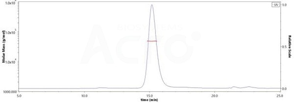 The purity of Biotinylated Canine FCGRT&B2M Heterodimer Protein, His,Avitag&Tag Free (Cat. No. FCM-C82W9) is more than 95% and the molecular weight of this protein is around 43-53 kDa verified by SEC-MALS.