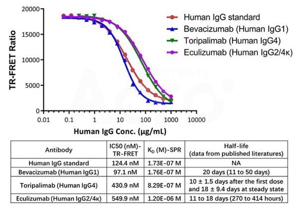 The half-lives of these 3 monoclonal antibodies currently in clinical use generally correlate with the binding affinity to FcRn. The kit has been used to detect 3 FDA approved antibody drugs of different binding affinity to FcRn, and the IC50 trends are consistent with affinity constant from SPR as well as the actual in vivo half-life published.