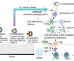 The role of cytokines in autoimmune disease progression and therapy